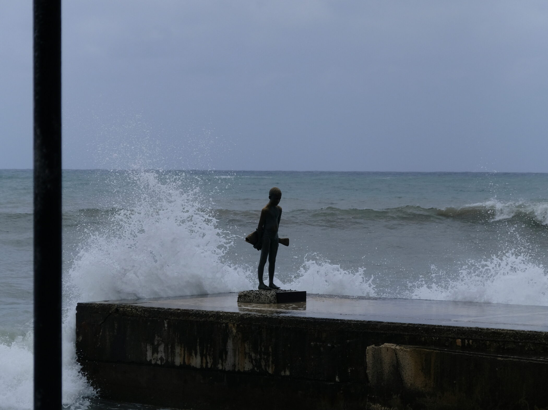 DSCF6557